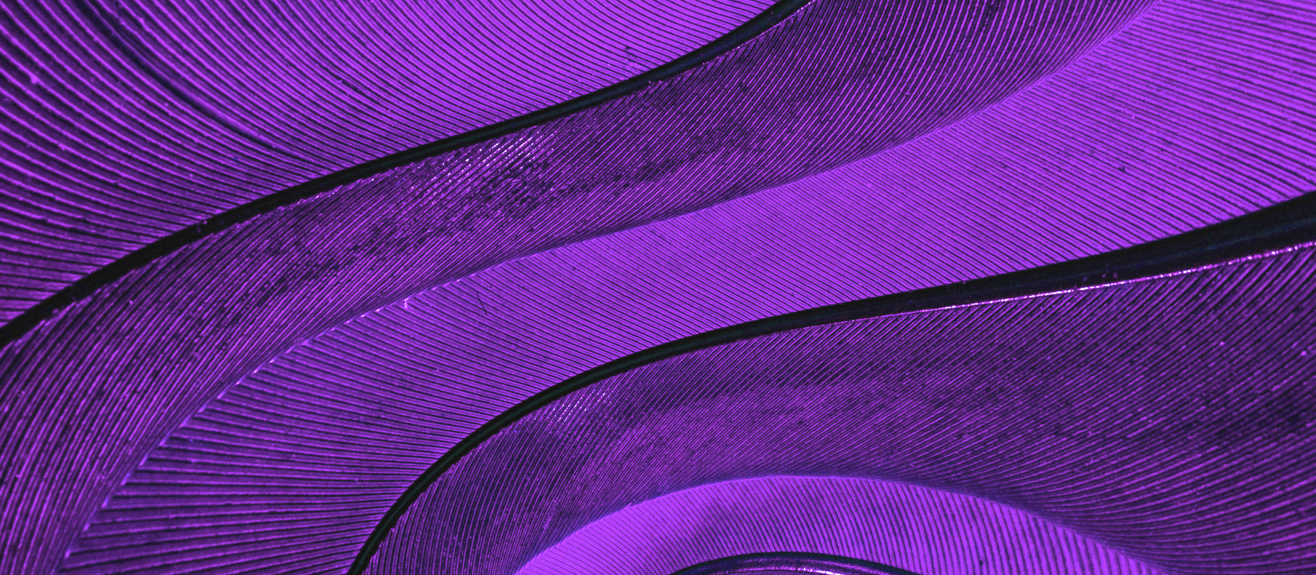 Careers | Early Careers - Full Graphic