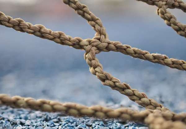 Adobestock 910161890