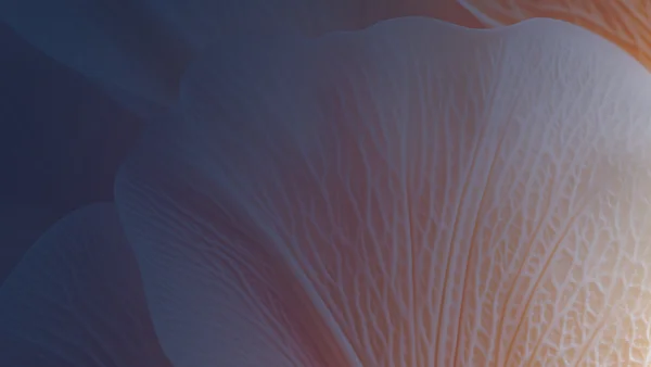 Insights Flower Adobestock 1586108781 OVERLAY