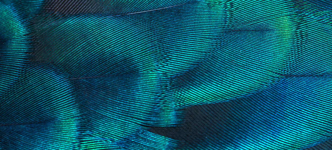 Demystifying Decarbonisation: carbon markets  Demystifying Decarbonisation: carbon markets